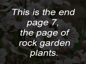 The end of page 7